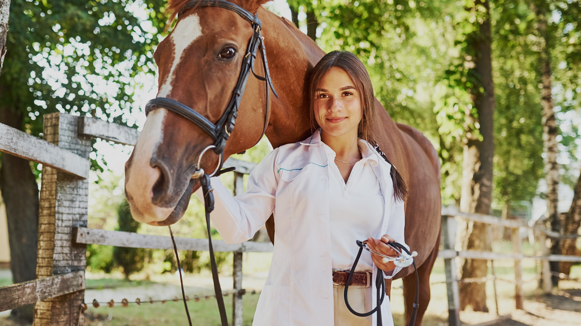 Clearikon Equine Therapy