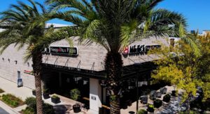 University of Florida | Department of Neurosurgery | Gainesville Experience